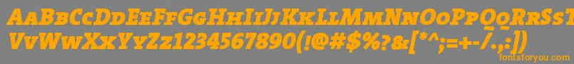TheserifblackCapsitalic Font – Orange Fonts on Gray Background