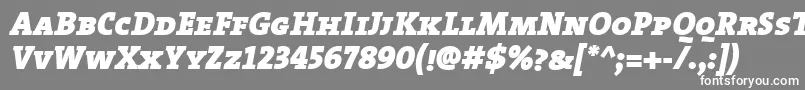 TheserifblackCapsitalic-Schriftart – Weiße Schriften auf grauem Hintergrund