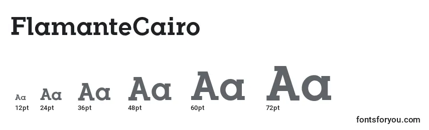 Размеры шрифта FlamanteCairo