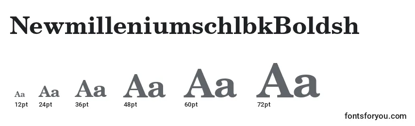 NewmilleniumschlbkBoldsh Font Sizes