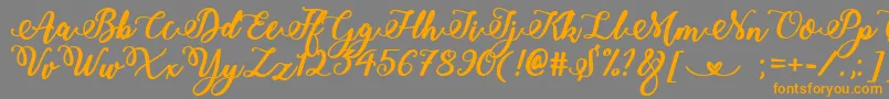 BoldStylishCalligraphy Font – Orange Fonts on Gray Background
