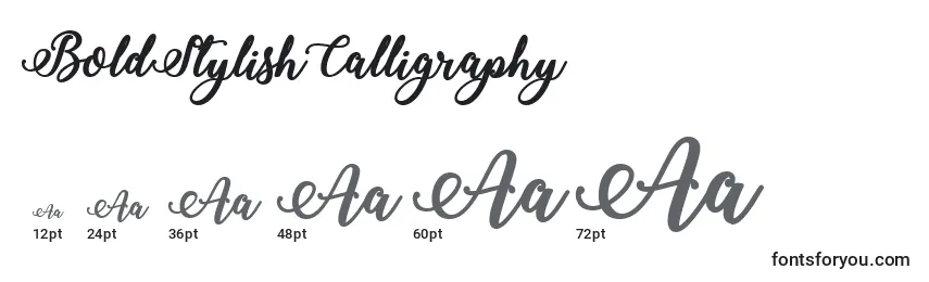 Размеры шрифта BoldStylishCalligraphy