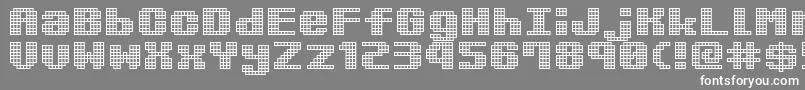 KimidoriMugcup Font – White Fonts on Gray Background