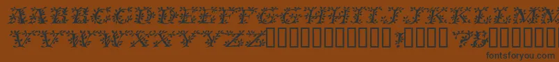 VinecapssskItalic Font – Black Fonts on Brown Background
