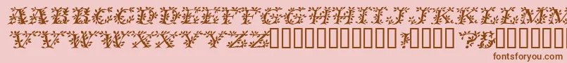 VinecapssskItalic Font – Brown Fonts on Pink Background