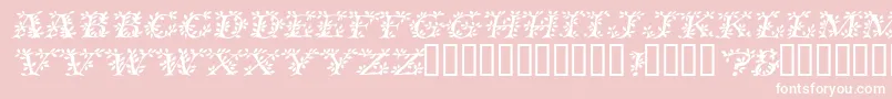 VinecapssskItalic Font – White Fonts on Pink Background