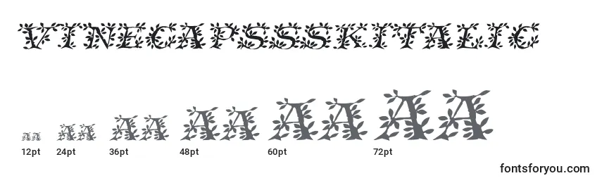 Größen der Schriftart VinecapssskItalic