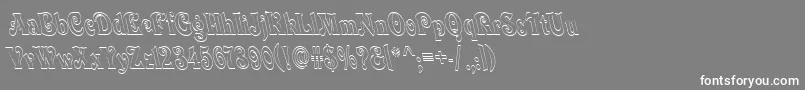 フォントQuardi – 灰色の背景に白い文字