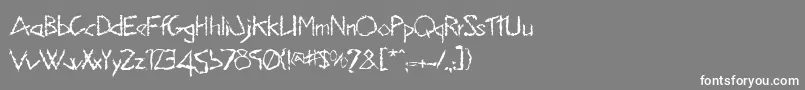 フォントHisky – 灰色の背景に白い文字