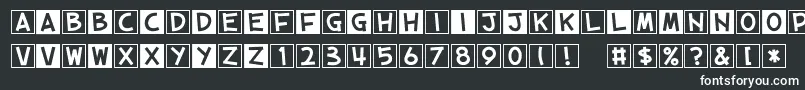 CubeVol.2 Font – White Fonts