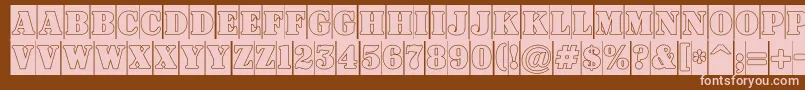 ASignboardtitulcmgr Font – Pink Fonts on Brown Background