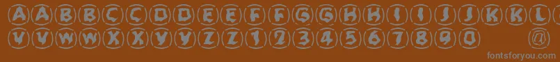 Zone23Dreamtime923 Font – Gray Fonts on Brown Background