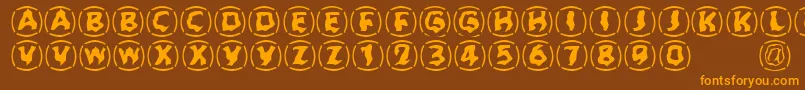 Zone23Dreamtime923 Font – Orange Fonts on Brown Background