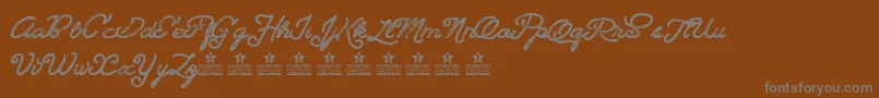 Landscapelandpersonaluse Font – Gray Fonts on Brown Background