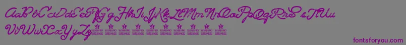 Landscapelandpersonaluse Font – Purple Fonts on Gray Background