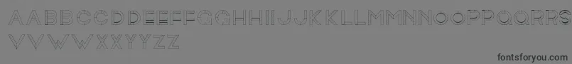 Rollandinemilie Font – Black Fonts on Gray Background