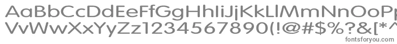 フォントVagroundedLightEx – 白い背景に灰色の文字
