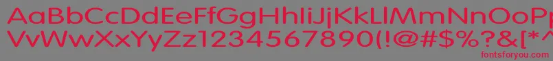 VagroundedLightEx Font – Red Fonts on Gray Background
