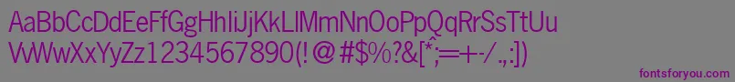 N691SansRegular Font – Purple Fonts on Gray Background