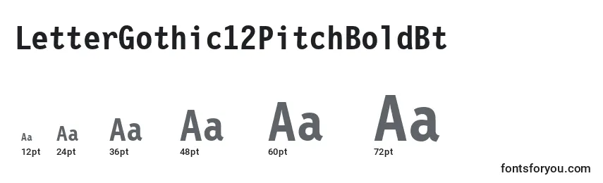 Размеры шрифта LetterGothic12PitchBoldBt