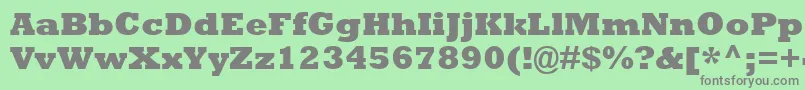 RockwellExtraBold Font – Gray Fonts on Green Background