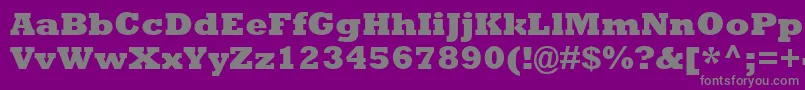 RockwellExtraBold Font – Gray Fonts on Purple Background