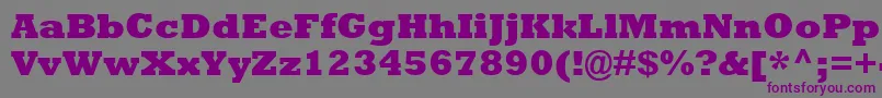 RockwellExtraBold Font – Purple Fonts on Gray Background