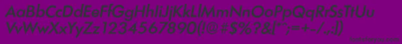 LimerickserialMediumItalic Font – Black Fonts on Purple Background