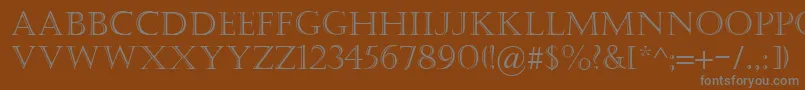 フォントCastellar – 茶色の背景に灰色の文字