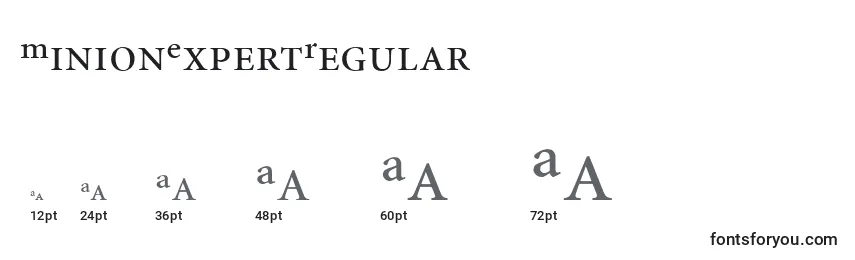 MinionExpertRegular Font Sizes
