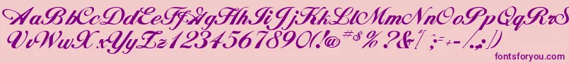 HornsbyRegular Font – Purple Fonts on Pink Background