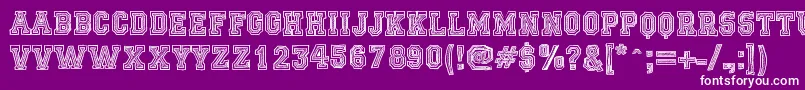 FicticciaCollege Font – White Fonts on Purple Background