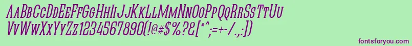 QuasticKapsNarrowItalic Font – Purple Fonts on Green Background
