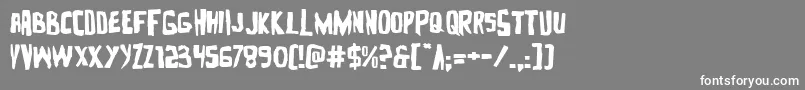 Zakensteinexpand Font – White Fonts on Gray Background