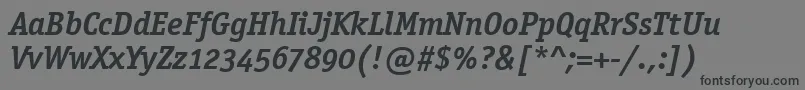 OfficinaSerifOsItcTtBoldit Font – Black Fonts on Gray Background