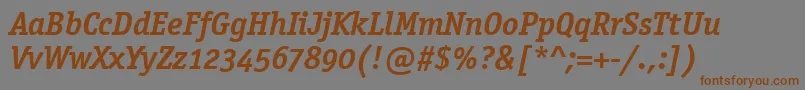 OfficinaSerifOsItcTtBoldit Font – Brown Fonts on Gray Background
