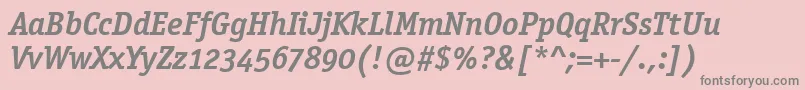 OfficinaSerifOsItcTtBoldit Font – Gray Fonts on Pink Background