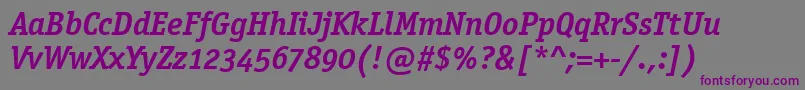 OfficinaSerifOsItcTtBoldit Font – Purple Fonts on Gray Background