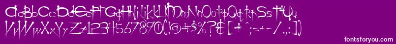 OgilvieRegular Font – White Fonts on Purple Background