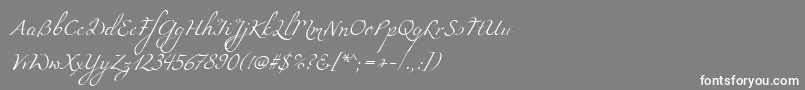 フォントMiama – 灰色の背景に白い文字