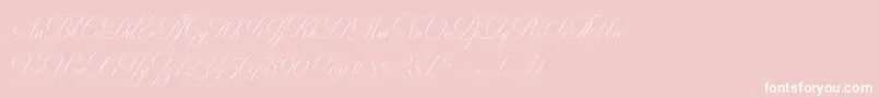 MiltonTwo Font – White Fonts on Pink Background