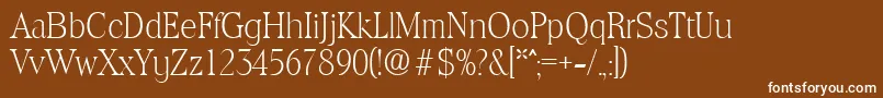 ToledoXlight Font – White Fonts on Brown Background