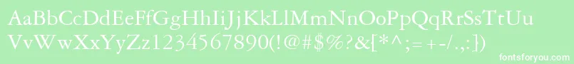 GaramondRepriseSsi Font – White Fonts on Green Background
