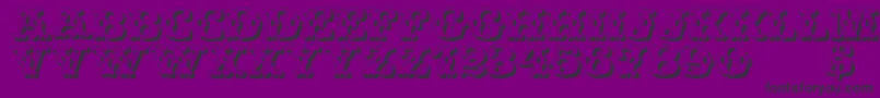 WildWestShadow-fontti – mustat fontit violetilla taustalla