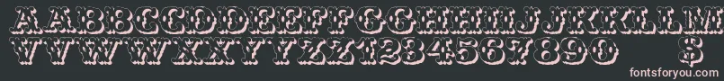WildWestShadow Font – Pink Fonts on Black Background