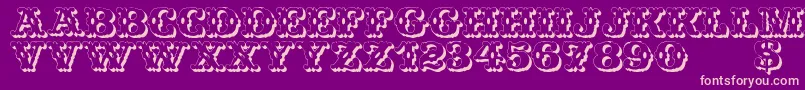 WildWestShadow Font – Pink Fonts on Purple Background