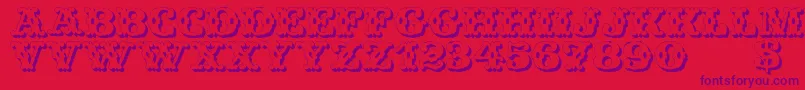 WildWestShadow Font – Purple Fonts on Red Background