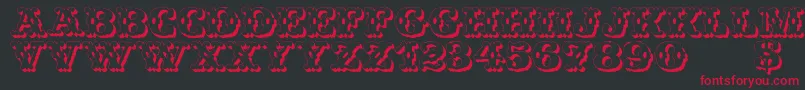 WildWestShadow Font – Red Fonts on Black Background