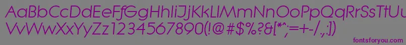 LiteraSerialRegularitalicDb Font – Purple Fonts on Gray Background