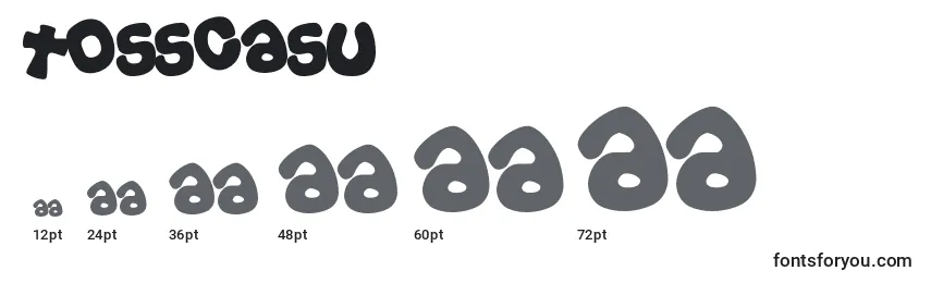 Tosscasu Font Sizes